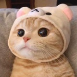 家有小宠_UU