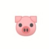 小 🐷 头