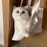 sndhakvf
