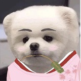 吃葡萄吐葡萄皮