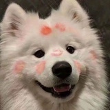 记得叫我小江