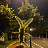 狗尾巴草🌿