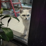 海淀网友
