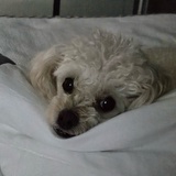 黑夜白昼十五楼
