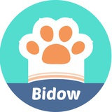 Bidow学研社