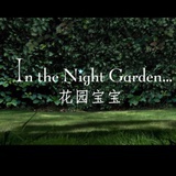 怕雨的易碎物品