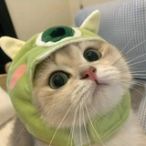周珊蒂