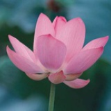 大是大非