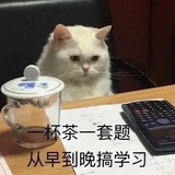 北山有个不倒翁