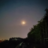 查无此人