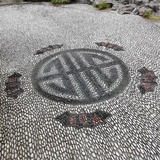 小小羽