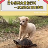 浴缸
