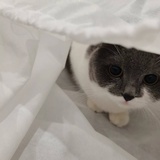 木木和火火