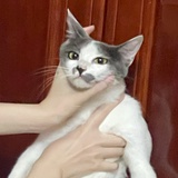 豆友vvvvvvvvi