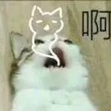 明天再说
