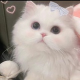 豆友QXTDsZ_MD4