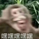 爱菲
