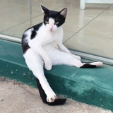 躺着思考