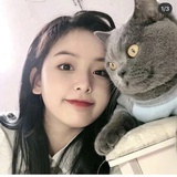 快乐的小仙女