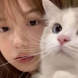 鱼鱼鱼