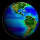 草川海生物解说