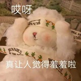 呱呱呱