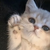 。