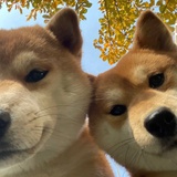 环绕地球