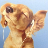 擦擦眼泪好吗💧