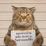 梦里南柯