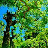 遇