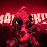 我把美梦放冰箱