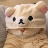 栀子拽╰l