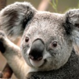 KeaneChung