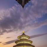 夏情心起