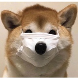 拐-