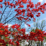 西江风月闲