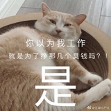 一片荒芜