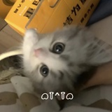 会好的