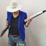 玩音乐的猫
