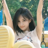 小憨猫圆又圆