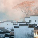 豆友5446145268