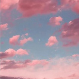 甜瓜