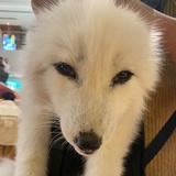 随便逛逛