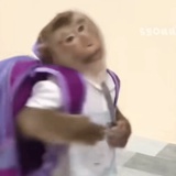 路过看看