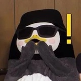 哇哈哈呀