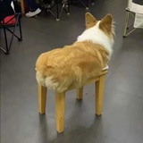 寸心