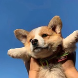 雨月云