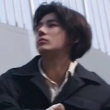 白夜鸟