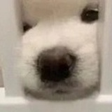 今天也要加油